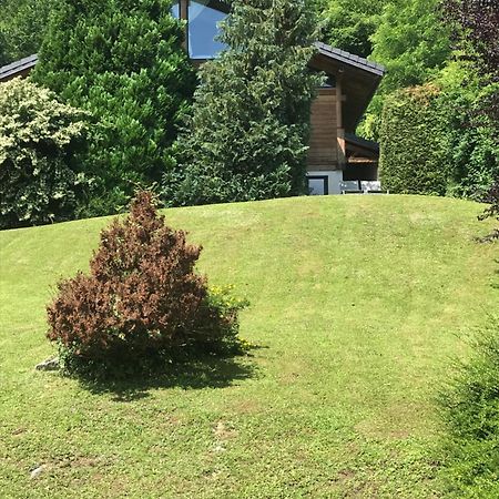 Appartement Sevrier Terrasse Et Jardin エクステリア 写真