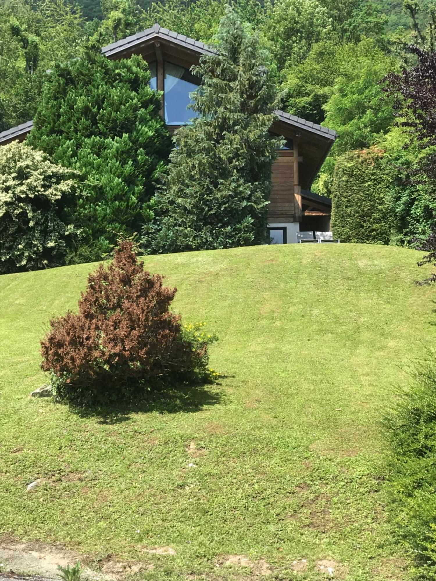Appartement Sevrier Terrasse Et Jardin エクステリア 写真