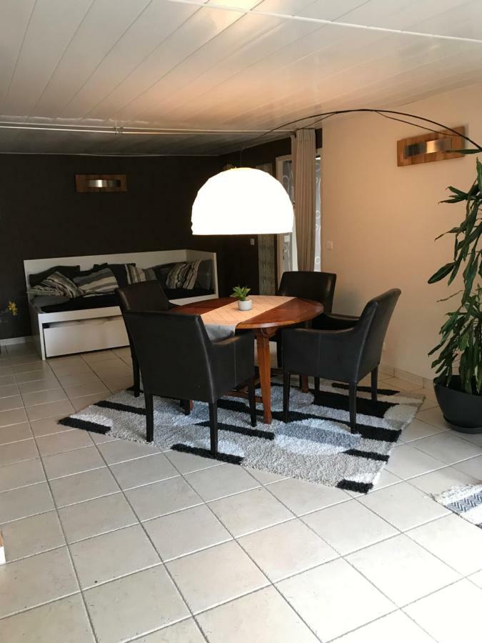 Appartement Sevrier Terrasse Et Jardin エクステリア 写真